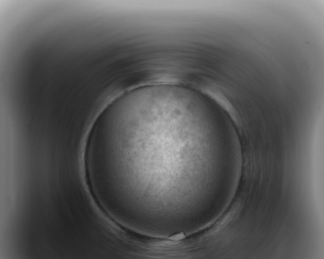 X0000088411475200705291439