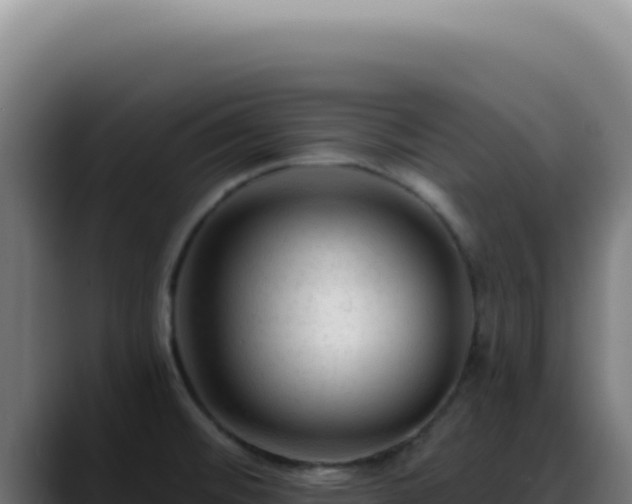 X0000088411476200705291439
