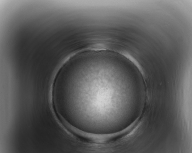 X0000088411477200705291439