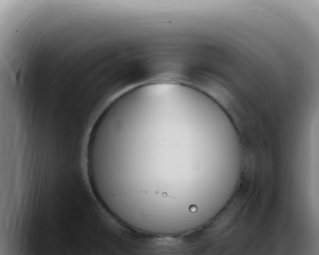 X0000088411478200705291439