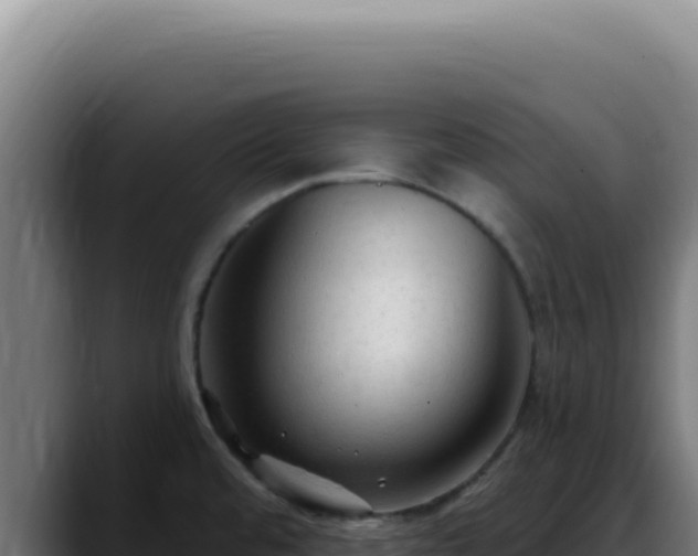 X0000088411480200705291439