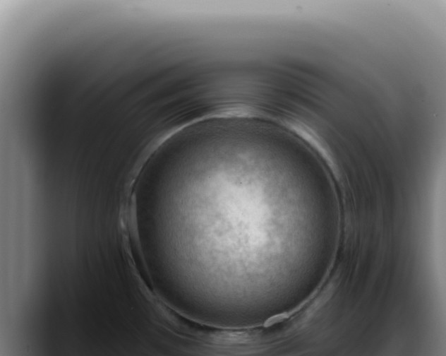 X0000088411481200705291439