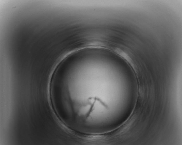 X0000088411482200705291439
