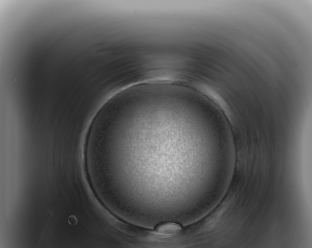 X0000088411483200705291439