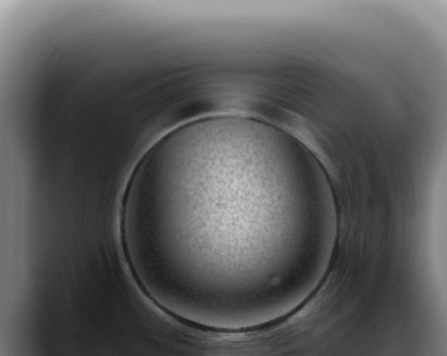 X0000088411484200705291439
