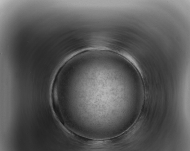 X0000088411485200705291439