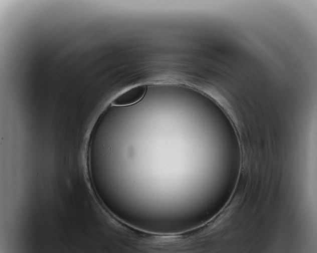 X0000088411486200705291439