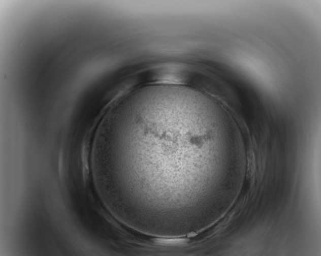 X0000088411487200705291439