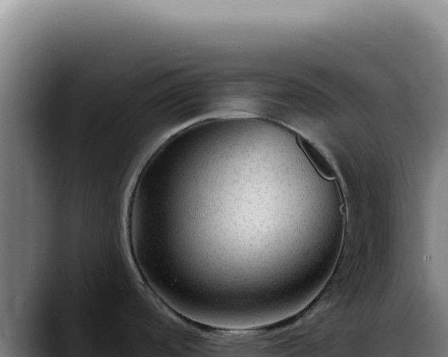 X0000088411488200705291439