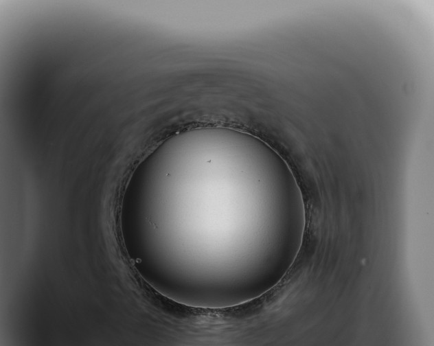X0000088411489200705291438