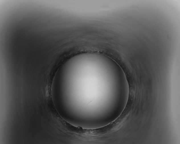 X0000088411490200705291438