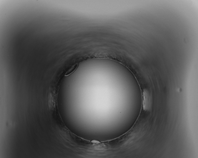 X0000088411491200705291438