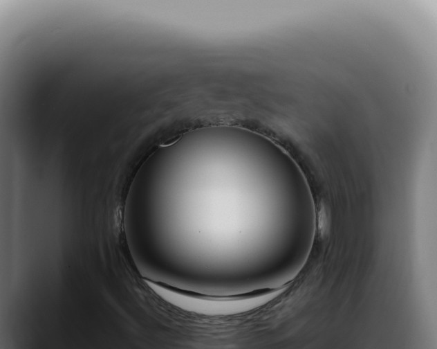 X0000088411492200705291438