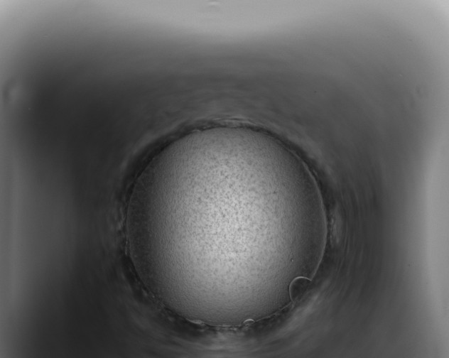 X0000088411494200705291438