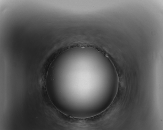 X0000088411495200705291438