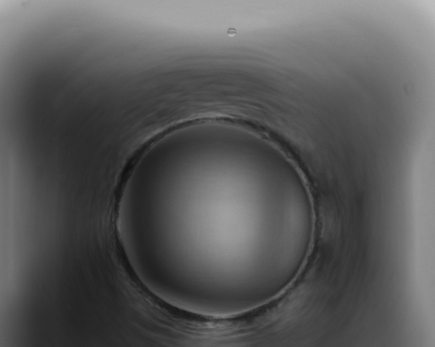 X0000088411497200705291438