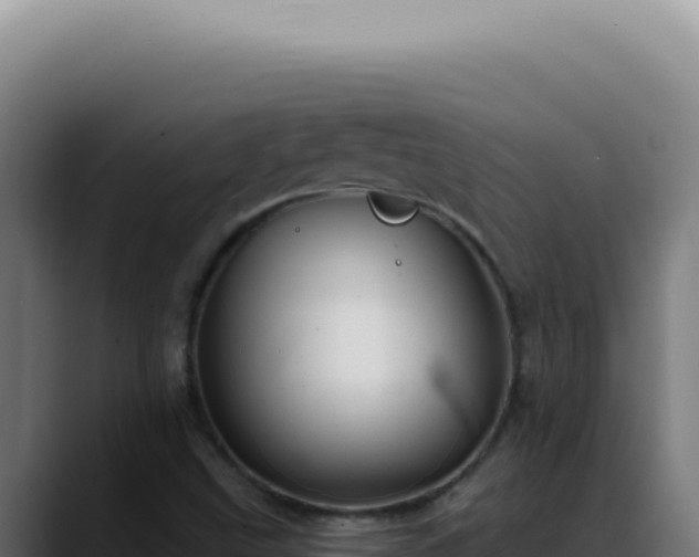 X0000088411499200705291438