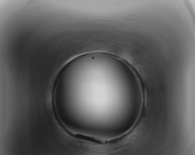X0000088411500200705291438