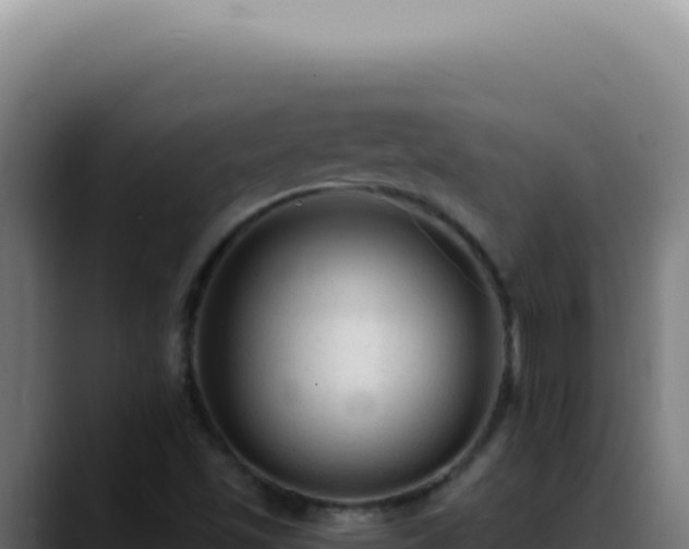 X0000088411501200705291438