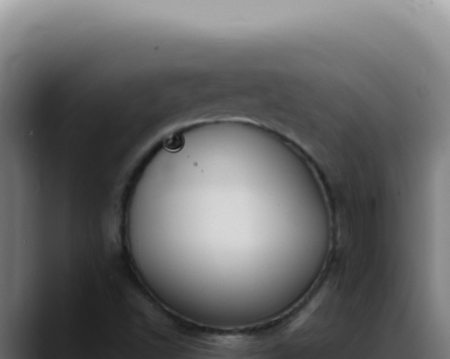 X0000088411502200705291438