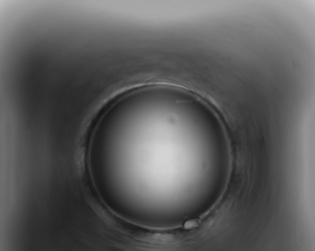 X0000088411503200705291438
