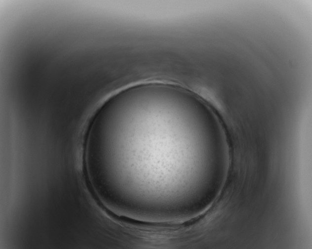 X0000088411504200705291438