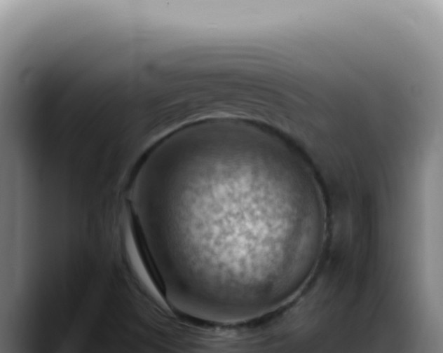 X0000088411505200705291438