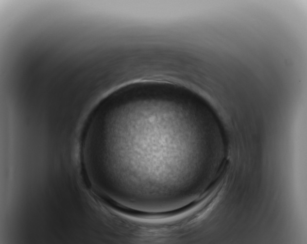 X0000088411506200705291438