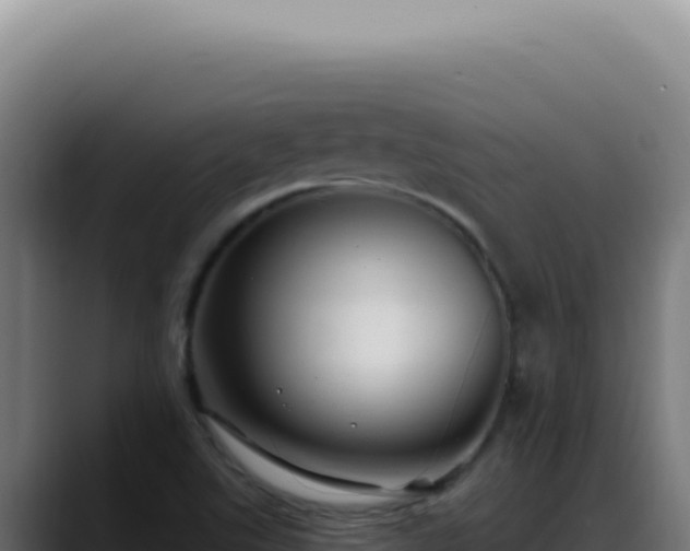 X0000088411507200705291438