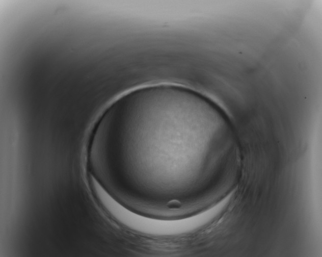 X0000088411508200705291438