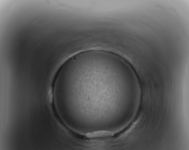X0000088411509200705291438