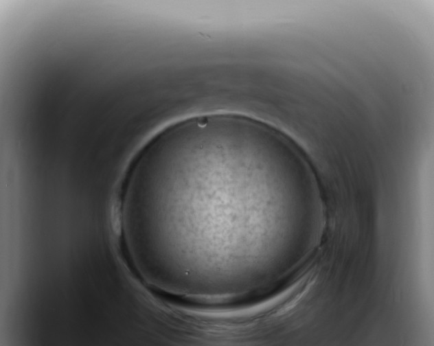 X0000088411510200705291438