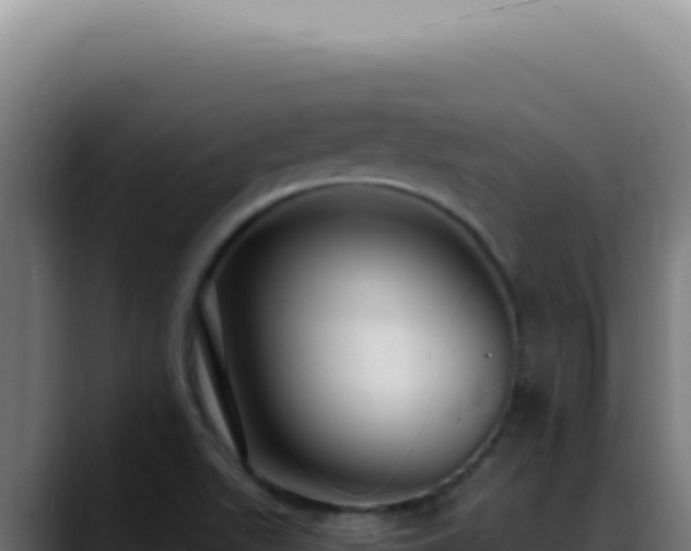 X0000088411511200705291438