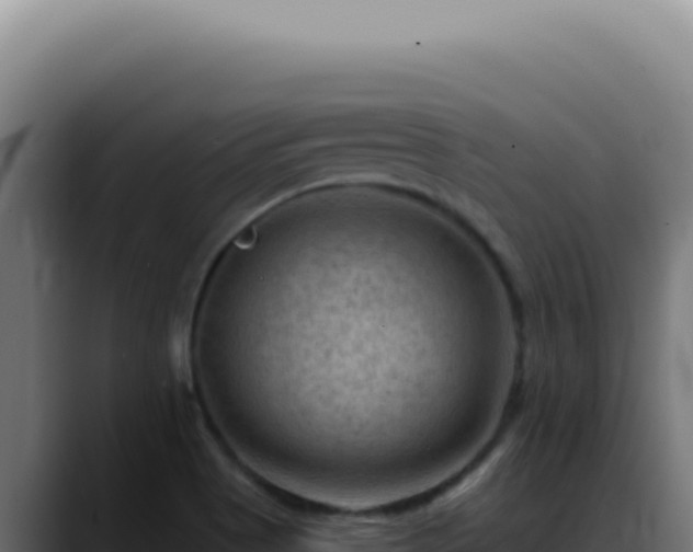 X0000088411513200705291439