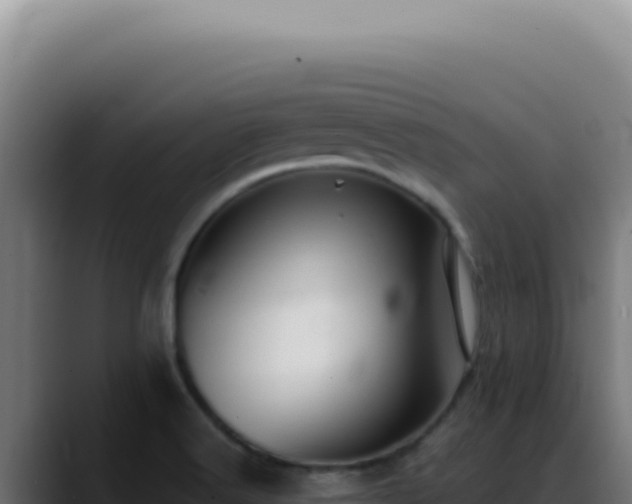 X0000088411516200705291439