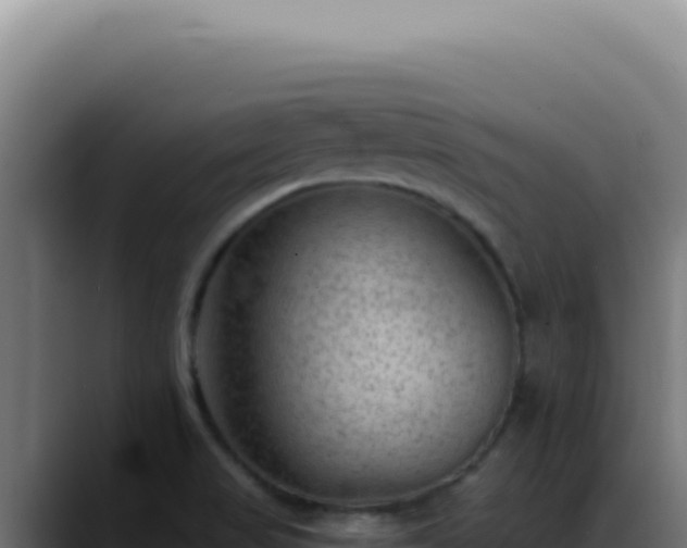 X0000088411517200705291439