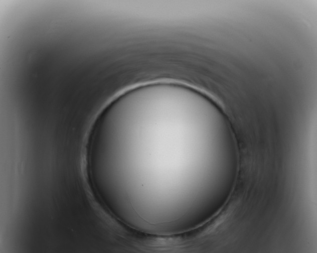 X0000088411518200705291439