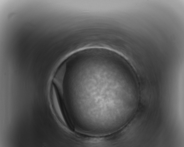 X0000088411519200705291439