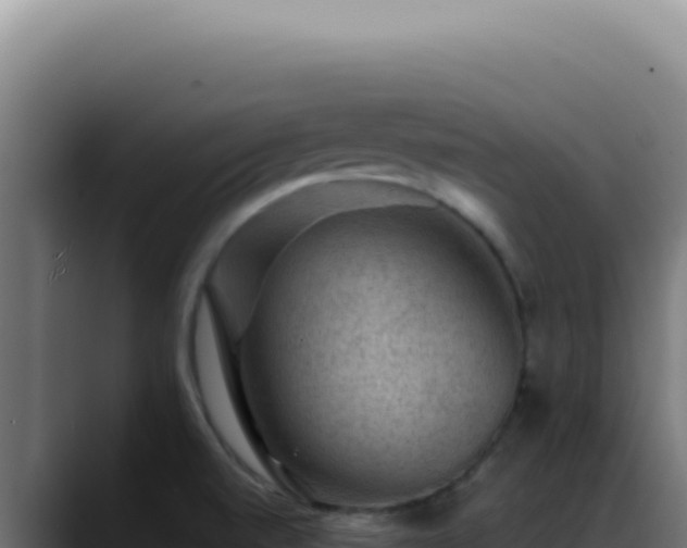 X0000088411520200705291439
