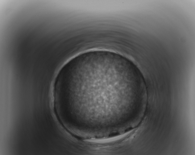 X0000088411522200705291439