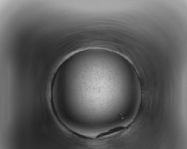 X0000088411523200705291439