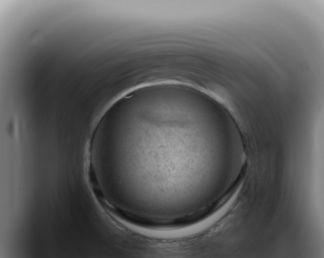 X0000088411524200705291439