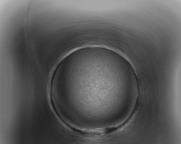 X0000088411525200705291439