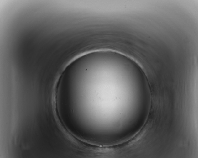 X0000088411526200705291439