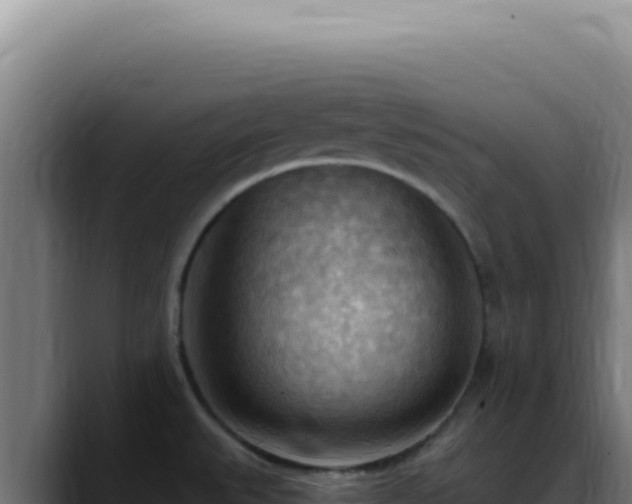 X0000088411527200705291439