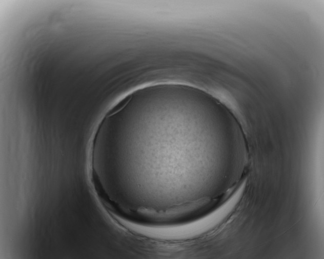 X0000088411528200705291439