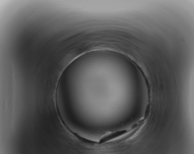 X0000088411529200705291439
