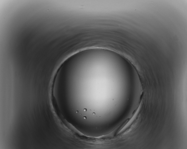 X0000088411530200705291439