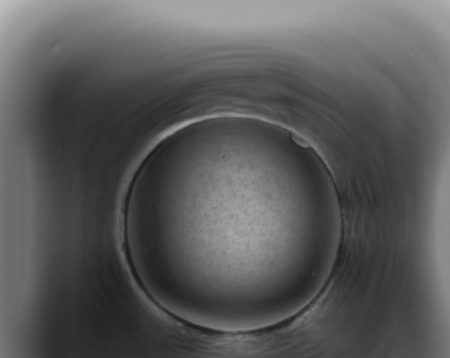 X0000088411531200705291439
