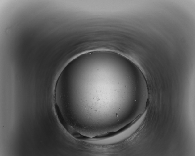 X0000088411532200705291439